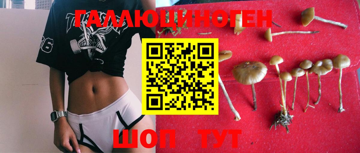 МДМА  Черкесск  НБОМе  Вход с VPN  Каннабис  ГАШ  Меф МЯУ МЯУ кристаллы  А ПВП СК  