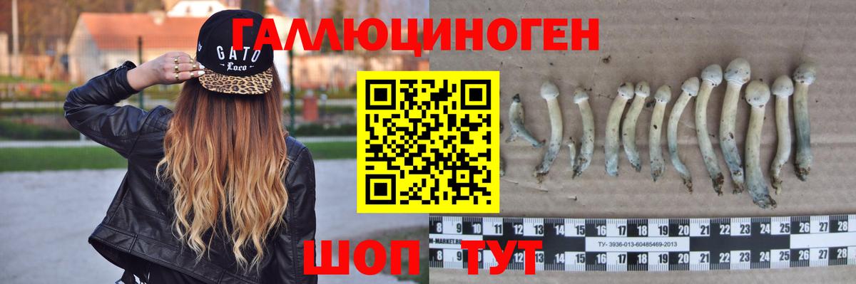 Черкесск  Галлюциногенные грибы Magic Shrooms  закладка  Вход с VPN 