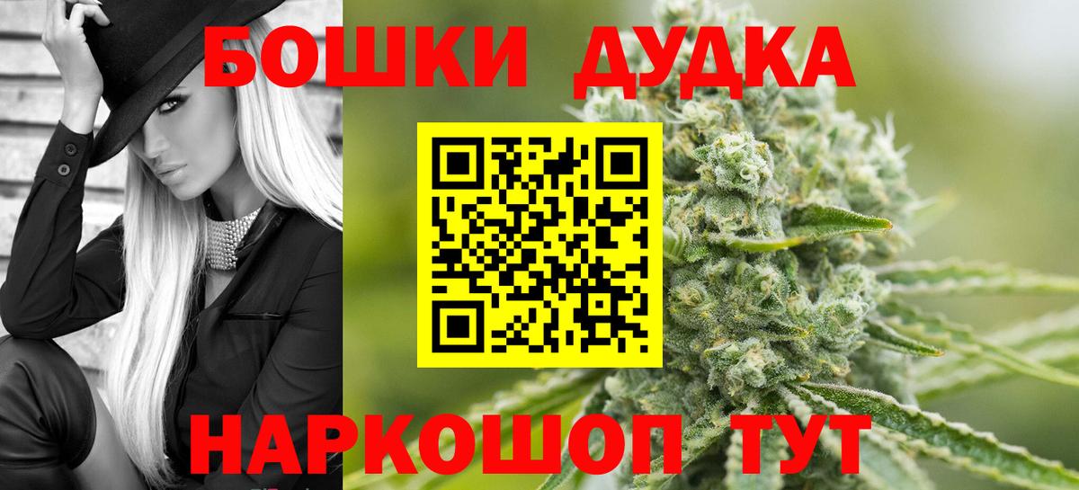 Шишки марихуана планчик  Марихуана планчик  Вход с VPN  МАРИХУАНА семена  Черкесск 